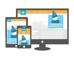 Responsive Website